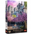 Puzzle 1000 elementów. Premium Plus. Photo Odyssey. Katedra Notre-Dame, Paryż - zdjęcie