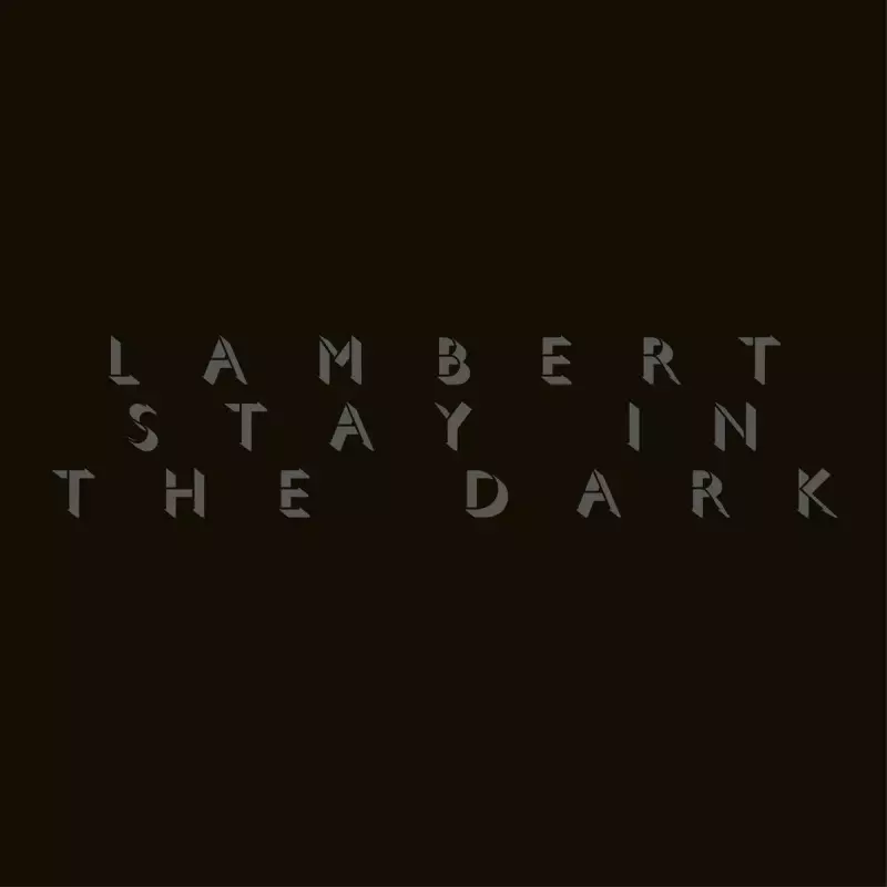 Stay In The Dark. Winyl Stay In The Dark. Winyl