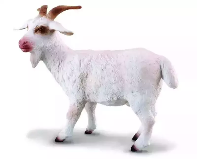 Kozioł Kozioł