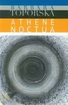 Athena noctua - zdjęcie