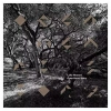 Open Heart Story, LP - zdjęcie