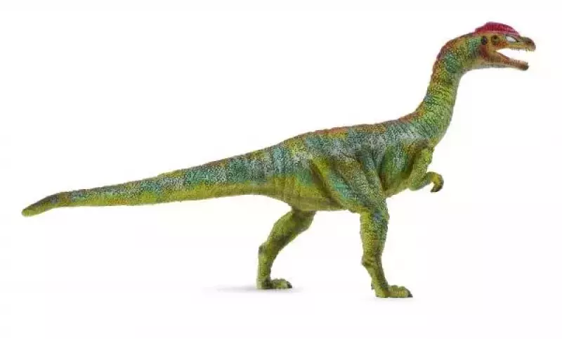 Dinozaur liliensternus L Dinozaur liliensternus L