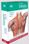 Anatomia Sobotta Flashcards. Mięśnie. Polskie mianownictwo anatomiczne - zdjęcie