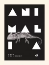 Animalia - zdjęcie