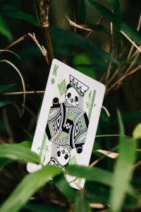 Karty do gry Bicycle: Panda, zdjęcie 2