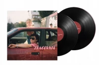 Pracownia (2xLP), zdjęcie 2