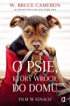 O psie, który wrócił do domu - zdjęcie