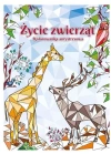 Kolorowanka antystresowa 210x290mm 32str. Życie zwierząt, MFP - zdjęcie
