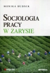 Socjologia pracy w zarysie - zdjęcie