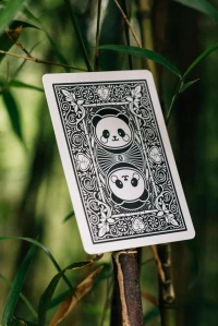 Karty do gry Bicycle: Panda, zdjęcie 3