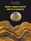 Wzory i obrazy natury ukryte w kamieniu - zdjęcie