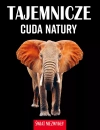 Tajemnicze cuda natury. Świat niezwykły - zdjęcie