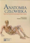 Anatomia człowieka - zdjęcie