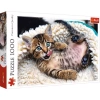Puzzle 1000 elementów. Wesoły kotek - zdjęcie
