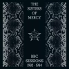 BBC Sessions 1982-1984. CD - zdjęcie