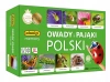 Memory - Owady i pająki Polski - zdjęcie