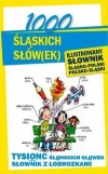 1000 śląskich słów(ek) Ilustrowany słownik polsko-śląski • śląsko-polski - zdjęcie
