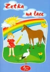 Zetka na łące - zdjęcie