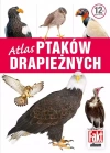 Atlas ptaków drapieżnych - zdjęcie