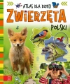 Zwierzęta Polski. Atlas dla dzieci - zdjęcie