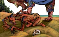 Robinson Crusoe. Opowieść obrazkowa na podstawie dzieła Daniela Defoe, zdjęcie 5