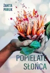 Popielate słońca - zdjęcie
