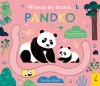 Wracaj do domu, pandko - zdjęcie