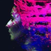 Hand Cannot Erase, LP - zdjęcie
