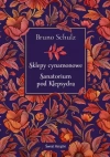 Sklepy cynamonowe / Sanatorium pod Klepsydrą (elegancka edycja) - zdjęcie