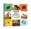 Gdzie jest Momo W podróży - zdjęcie