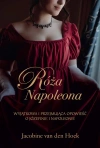 Róża Napoleona - zdjęcie