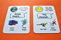 Fun Card English. Can / Can't, zdjęcie 3
