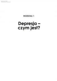 Męska depresja. Jak rozbić pancerz, zdjęcie 8