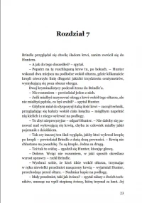 Egzekutor, zdjęcie 18