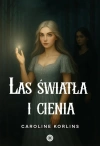 Las światła i cienia - zdjęcie