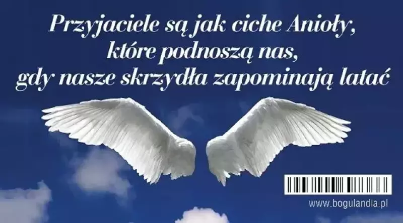 Magnes na lodówkę - Przyjaciele są jak ciche Anioły... Magnes na lodówkę - Przyjaciele są jak ciche Anioły...