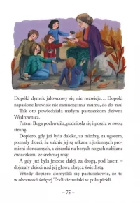 Boży roczek, zdjęcie 4