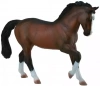 Ogier Warmblood Stallion - Bay - zdjęcie