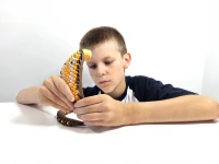 Origami 3D. Kobra (360 elementów), zdjęcie 11