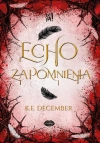 Echo zapomnienia - zdjęcie
