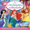 Zaczarowane rozkładanki. Disney Księżniczka - zdjęcie