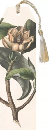 Zakładka ze wstążką. Magnolia - zdjęcie
