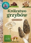 Królestwo grzybów - zdjęcie
