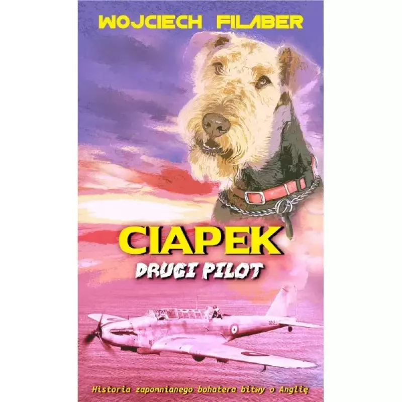 Ciapek drugi pilot