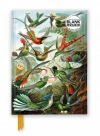 Ernst Haeckel: Hummingbirds (Foiled Blank Journal) - zdjęcie