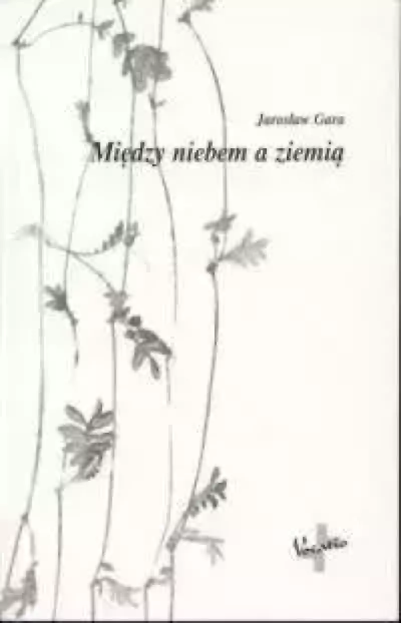 Między niebem a ziemią Między niebem a ziemią