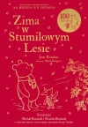 Zima w Stumilowym Lesie - zdjęcie