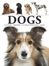 Dogs wer. angielska - zdjęcie