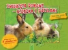 Książka z puzzlami. Zwierzęta domowe - zdjęcie