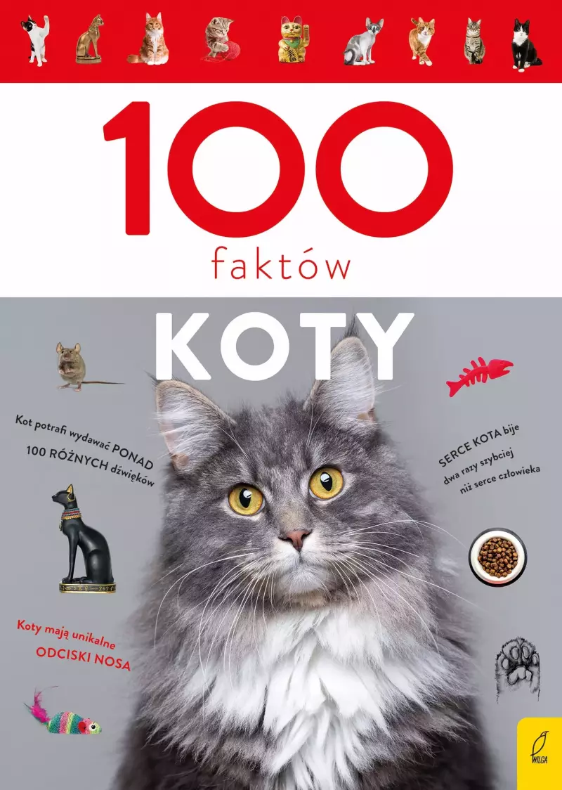 100 faktów. Koty 100 faktów. Koty